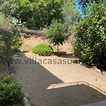 Vue Mer, Piscine Chauffée à Vecchio